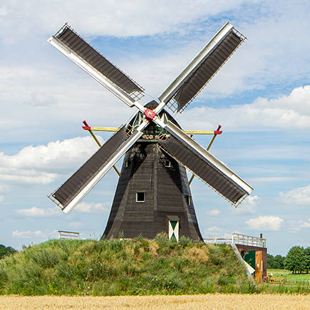 Molen De Grauwe Beer